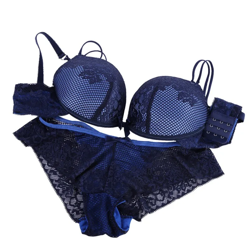 Sexy Lace Underwear Set for Women, Seamless Underwire Bra, See Through Panties, Push Up Bra and Panty Set,Lace Bra Briefs Sets