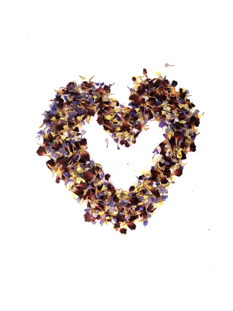 Real Dried Flower petals Dry Plants For Aromatherapy Candle Epoxy Resin Pendant Necklace Jewelry Making Craft DIY Accessories