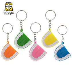 10pcs Tooth Shaped Keychain Portable Dental Model Upper Jaw Shape Model Shape Pendant Key Dental Souvenir，Ornament，Gift