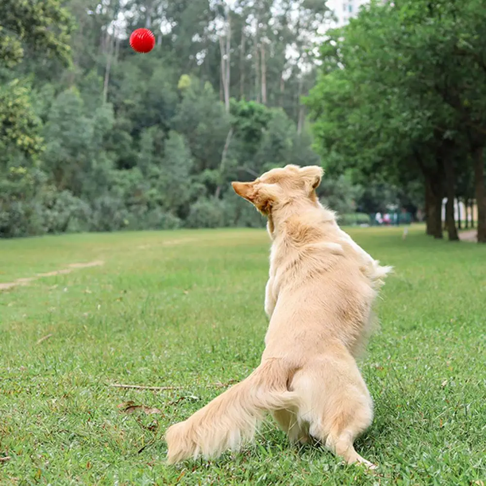 1PC zabawka dla zwierząt domowych piłka z piszczałką Pet Spike Ball Fetch żucia piłka zabawka ząbkowanie odporne na zużycie do gryzienia zabawki dla