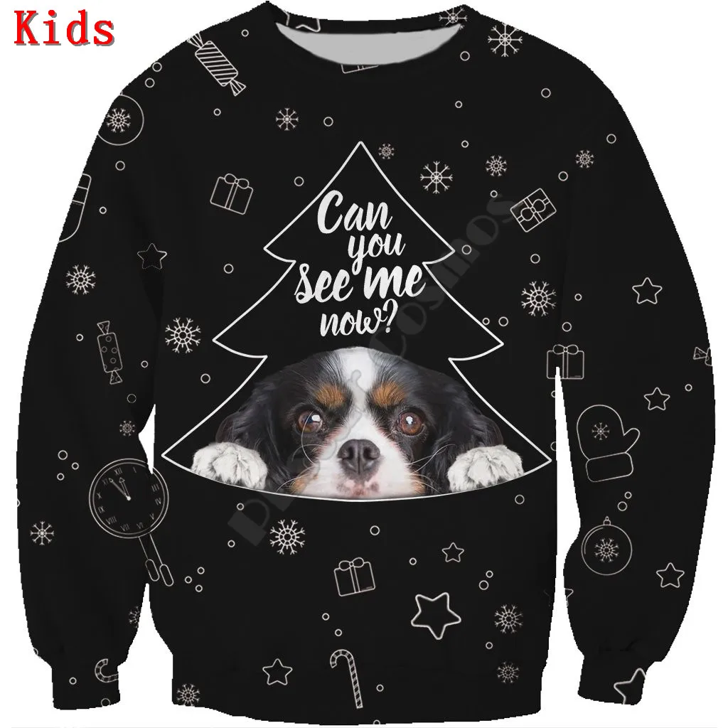 

Autumn Winte Cavalier King Charles Spaniel 3d printed Hoodies Pullover Boy For Girl Long Sleeve Shirts Kids Christmas Sweatshirt