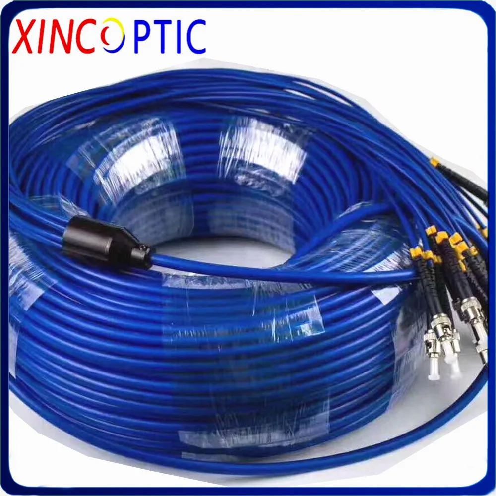 

12cores Singlemode 30M 50M 100M 150M 200M 300M Armored Patch Cord 12 core SM G652D SC LC FC 12 fibers Optical Fiber Jumper Cable