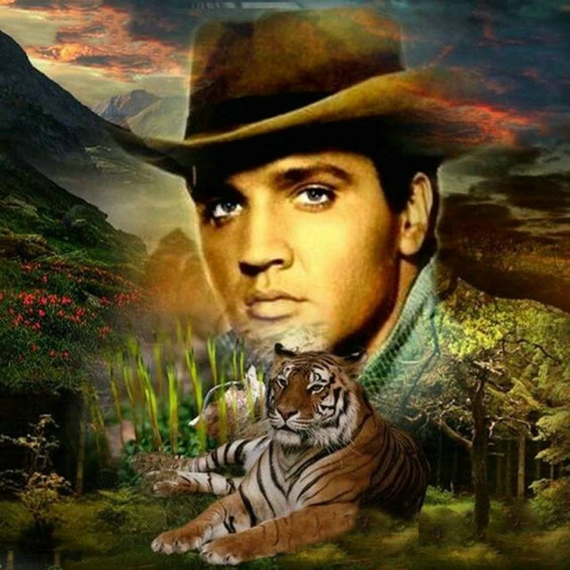 JMINE Div 5D Elvis Tiger Cowboys Mountain Full Diamond Painting cross stitch kits art Portrait 3D paint by diamonds