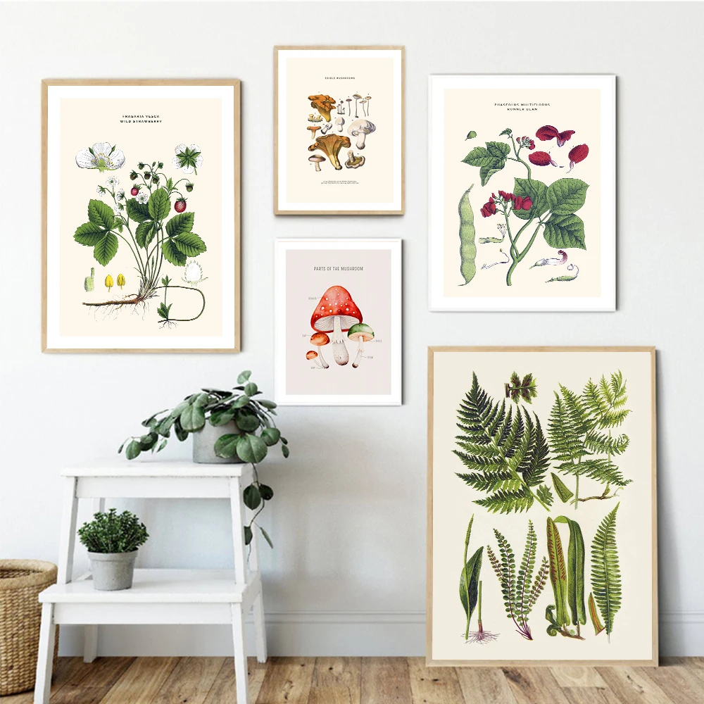 Póster botánico Vintage de setas, fresas Edamame, pintura en lienzo, impresiones de cocina, imágenes artísticas de pared, decoración del hogar para sala de estar