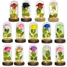 Eternal Rose in Glass Dome with LED Light #2