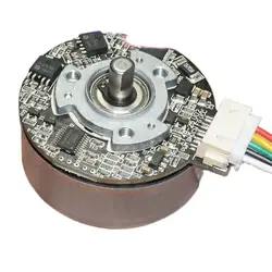 5V12V24V Outer Rotor Brushless Motor High Torque Forward and Reverse Speed Regulation Strong Magnetic Fascia Gun Brushless Motor