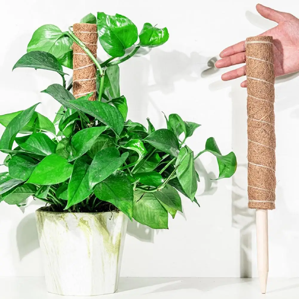 High-quality Moss Stick Indoor Climbing Plant Pole Convenient Coir Moss Stick Plant Support Gardening Supplies for Creepers