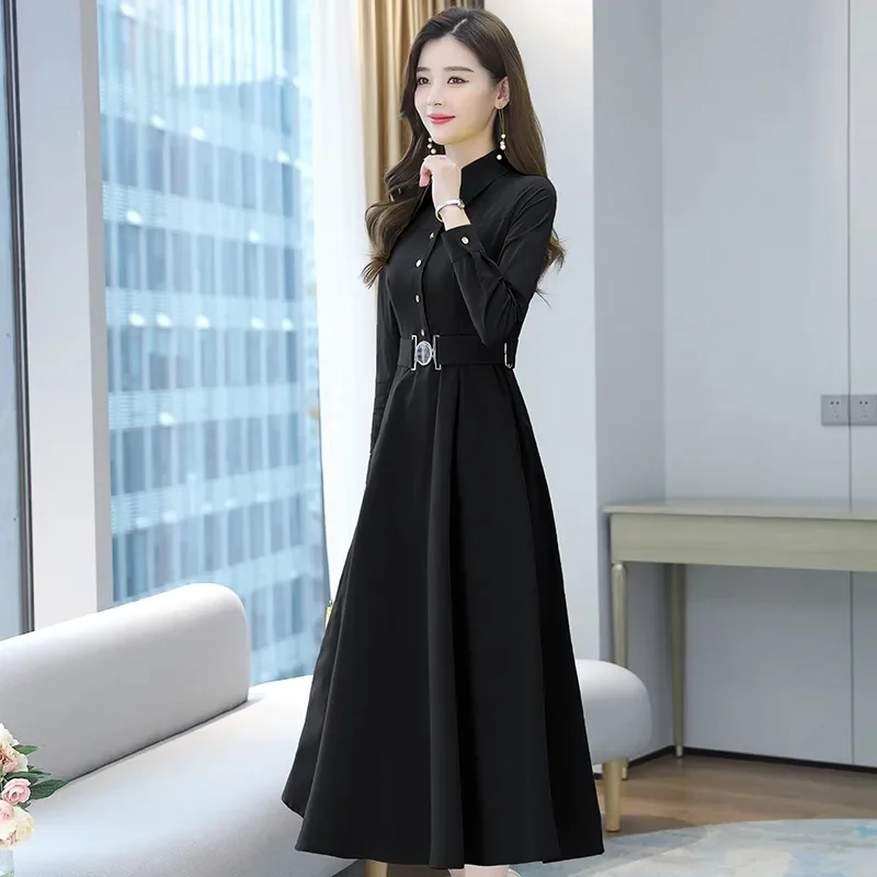 Women Dress New Female Spring Autumn Long Sleeve Dresses Middle-aged Female Fashion Dress Mujer Vestidos C