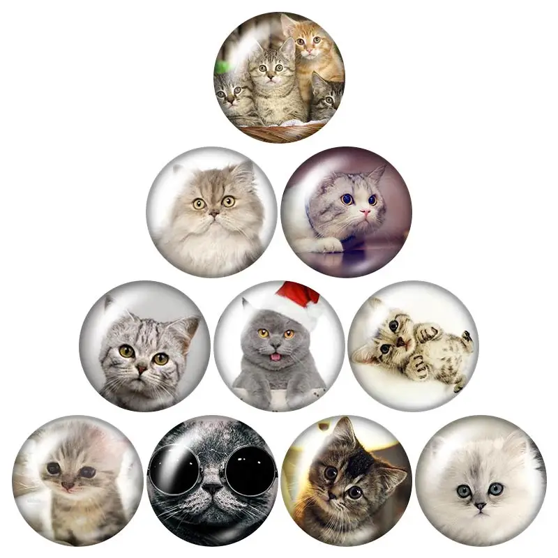 Lovely Cat love pet  18mm snap buttons 10pcs mixed round photo glass cabochon style for snap button jewelry