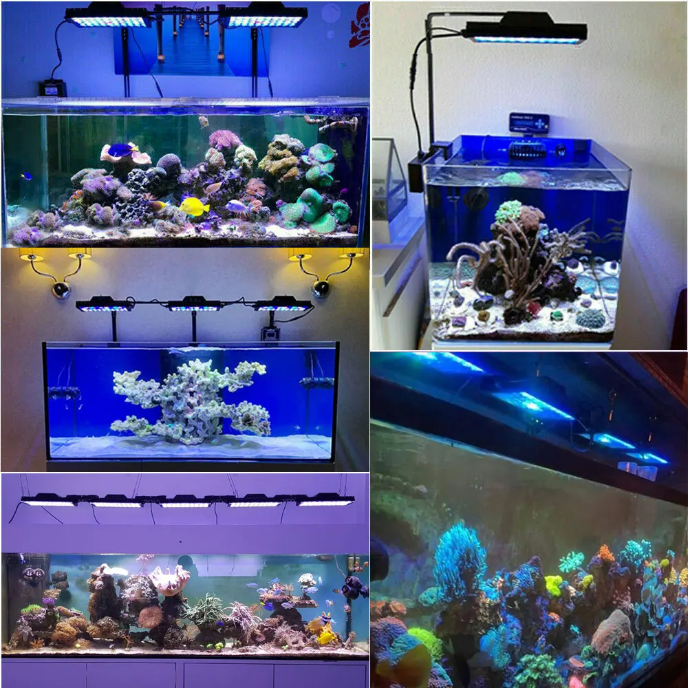 Imagem -06 - Popbloom-iluminação do Aquário com Controlador Lâmpada do Aquário Marinho para Coral Reef Sps Lps Grow Light Lâmpada do Tanque de Peixes Turing30