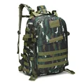 Tiger GR