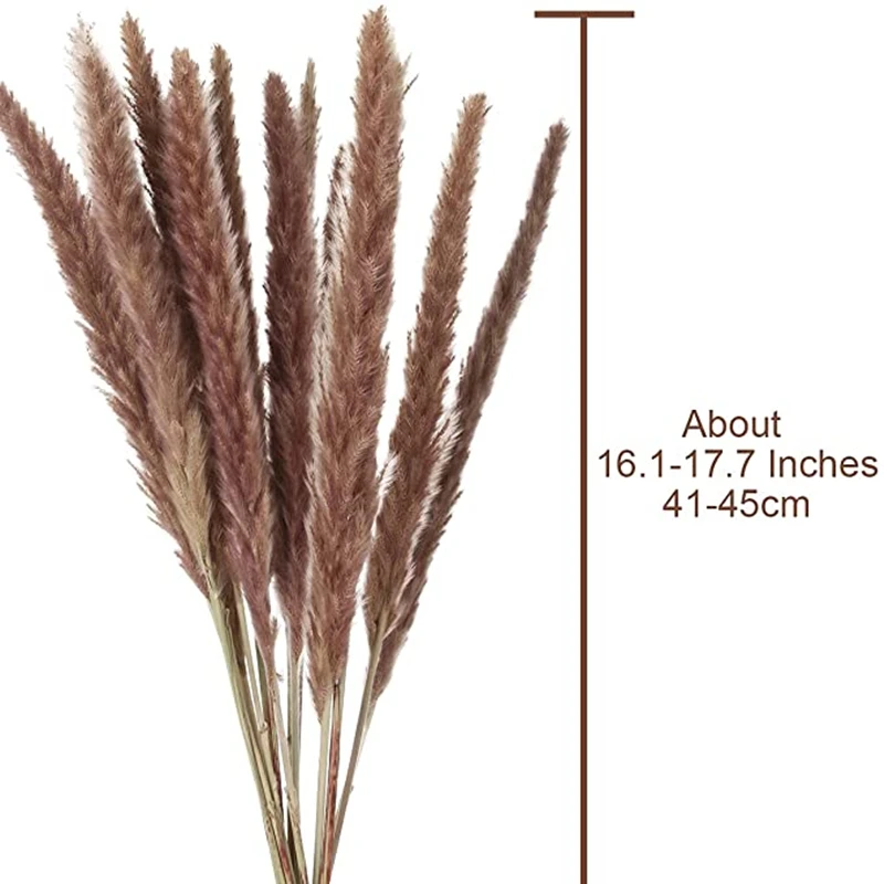 Dekoration 15-30Pcs Free Shipping Dried Pampas Grass Decor Wedding Flower Bunch Natural Plants for Home Christmas Decorations