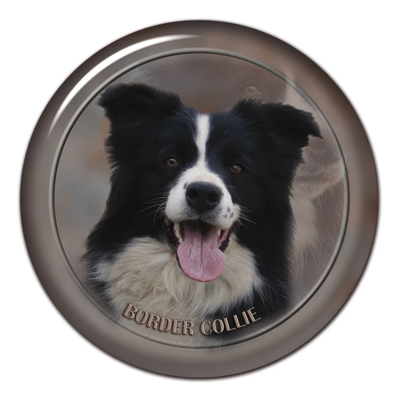 

S30456# 13CM/15CM/17CM PVC Decal Border Collie Dog V2 Car Sticker Waterproof for Bumper Rear Window Laptop Toilet