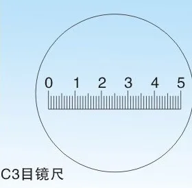 Diameter 19mm Microscope Slides Reticle Calibrating Slide Ruler  Microscope Calibration Ruler Stage Micrometer