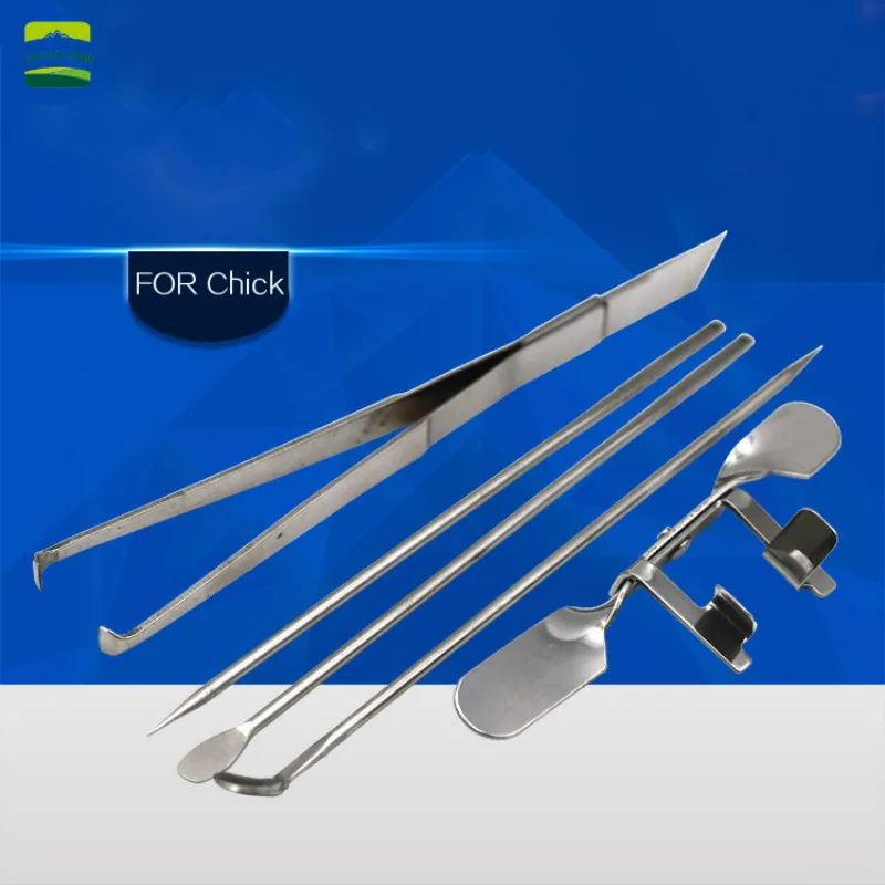 Chicken Castration Tool Stainless Steel Large Chicken Baby Chick Castration Cock Rooster Five-Piece Set Poultry Farm Tools New