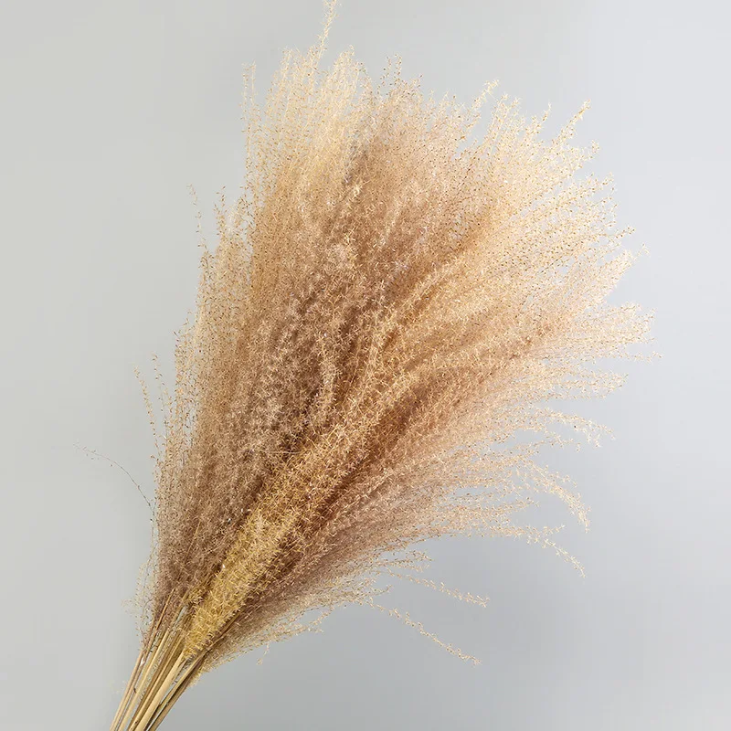 

10pcs Artificial Plants Reed Dried Flower Bouquet Party Decorations Wedding Home Decoration Accessories Dried Flowers Fake Grass