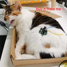 12V DC Lithium Drill with BMS Circuit #2