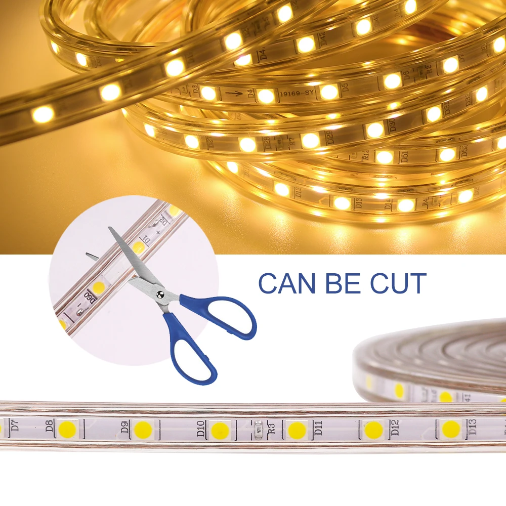 220V LED Strip SMD 5050 60LEDs/m Waterproof Flexible Tape LED Lights Outdoor Home Decor Warm White Blue with EU Plug and Switch