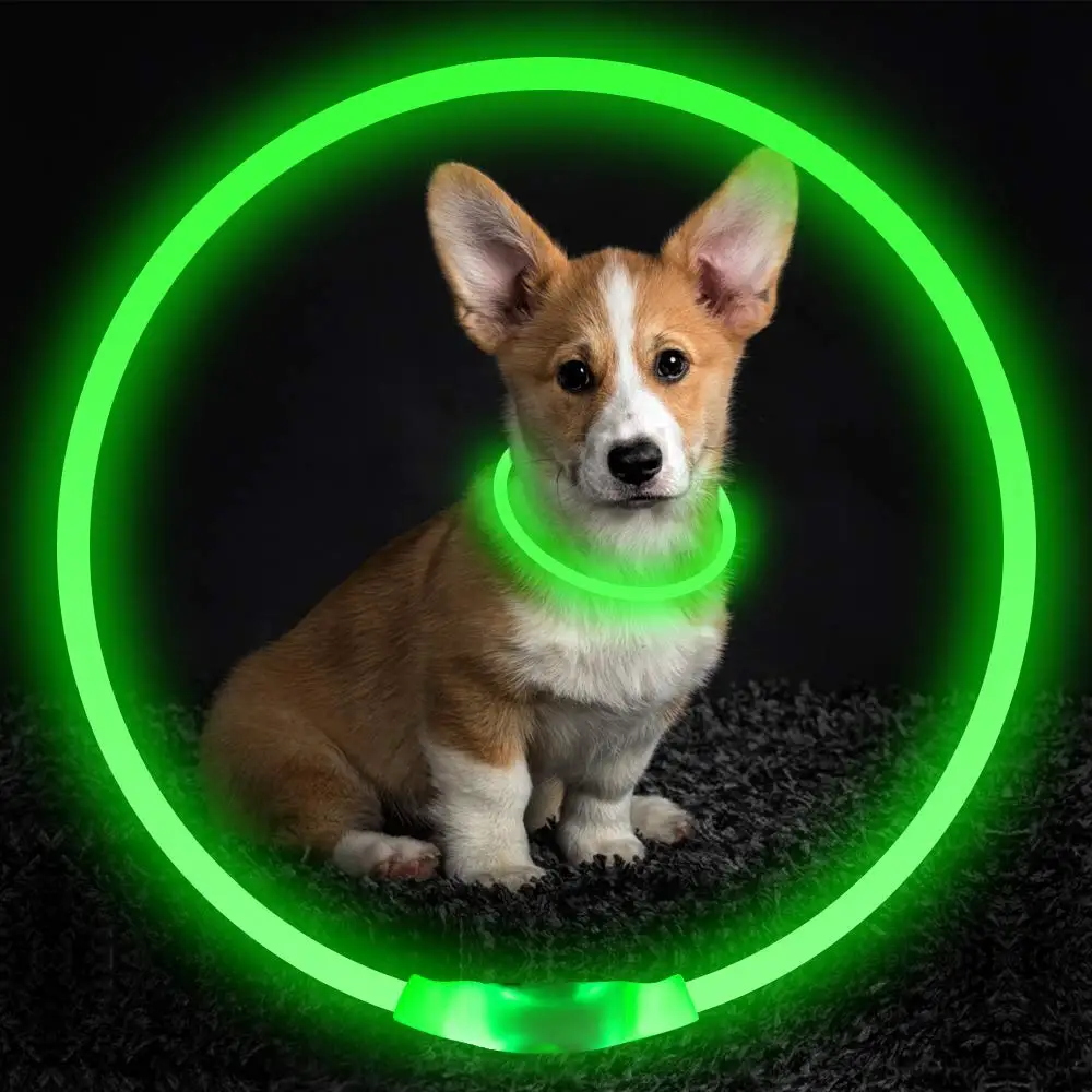 Pet Blinkende Kragen USB Aufladbare Glowing Halskette Sicherheit Kragen Licht Up Halsbänder für Nacht Fuß Elektrische Hund Kragen Neon