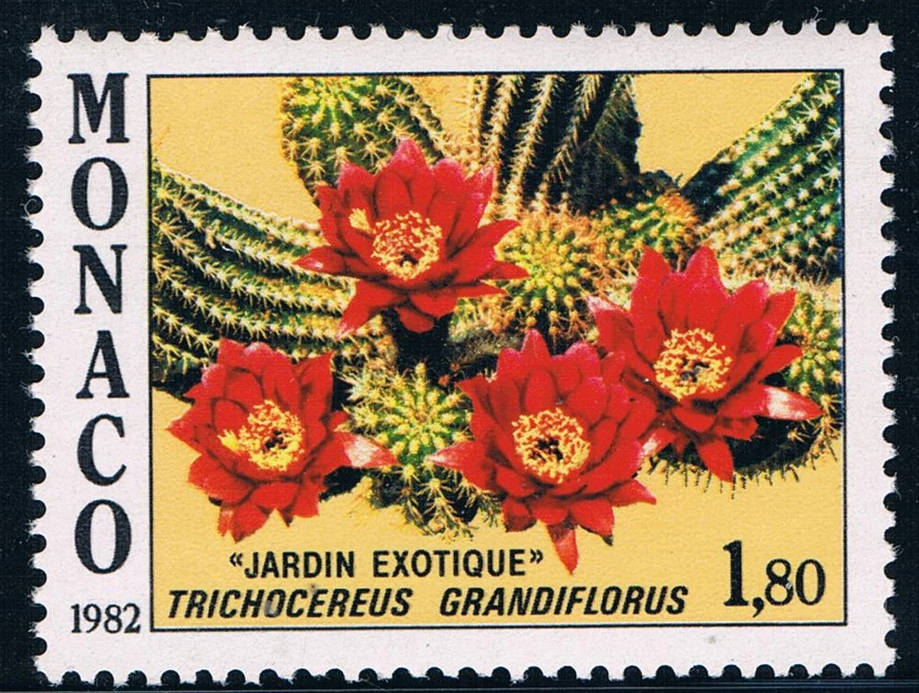 

1Pcs/Set New Monaco Post Stamp 1982 Cactus Flower Stamps MNH