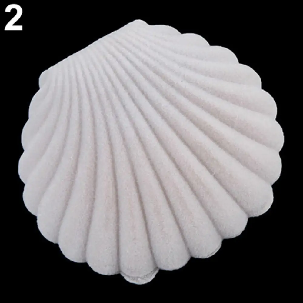 Cute Sea Shell Shape Jewelry Storage Box, Brinco, Colar, Anel, Display Case, Dia Dos Namorados, Casamento, Embalagem De Jóias, Caixa De Presente