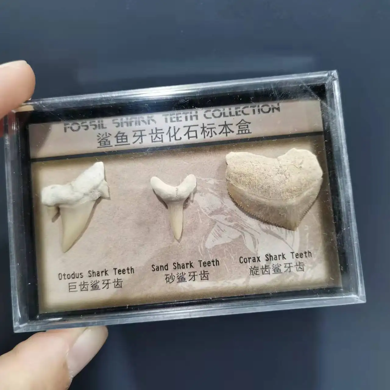 Natural Mineral  Specimen Card Box collection