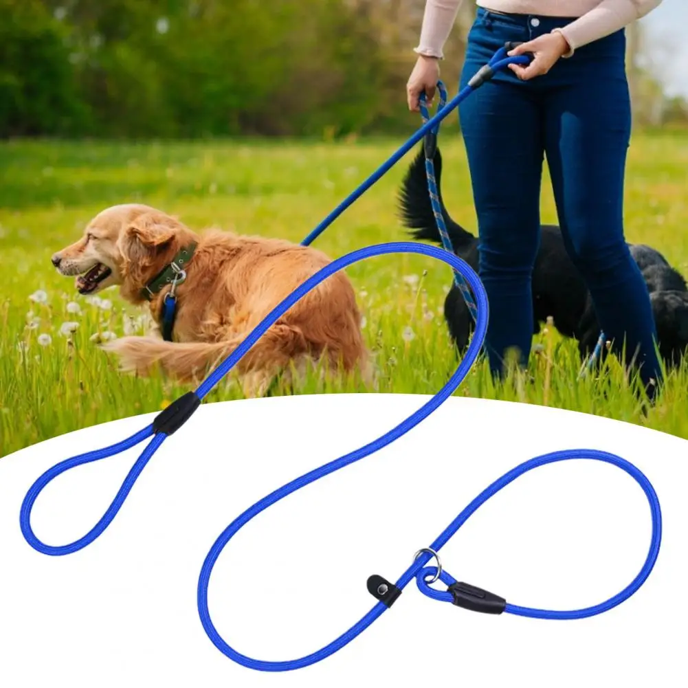 Pretty Walking Leash Good Toughness Traction Leash Fine Craftsmanship Anti-crack Walking Dog Leash Rope