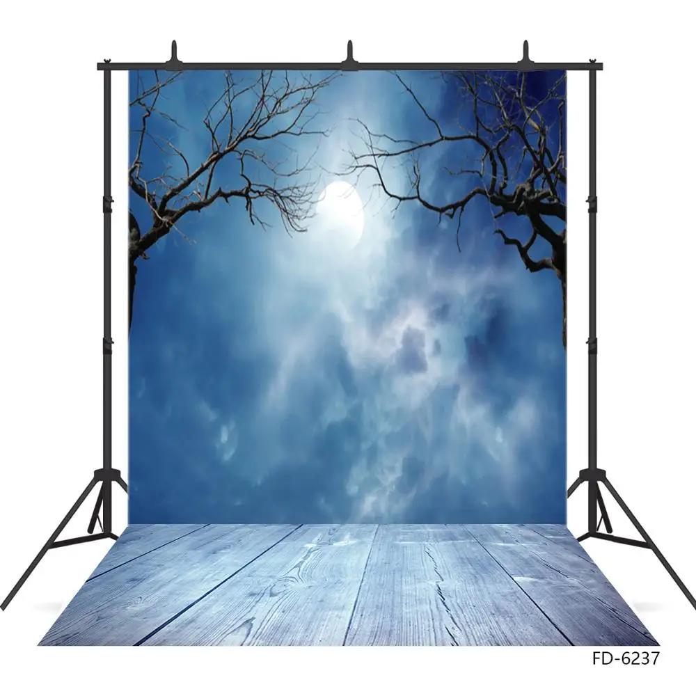 Moon Dry Branches W… - image