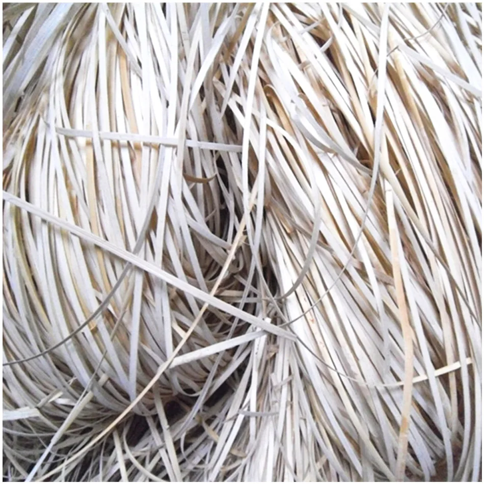 Natural Plant Rattan Leather Chair Furniture Decoration Material, Semi-Circular, Indonesia, 2mm, 3mm, 4mm, 5mm, 6mm, 8mm