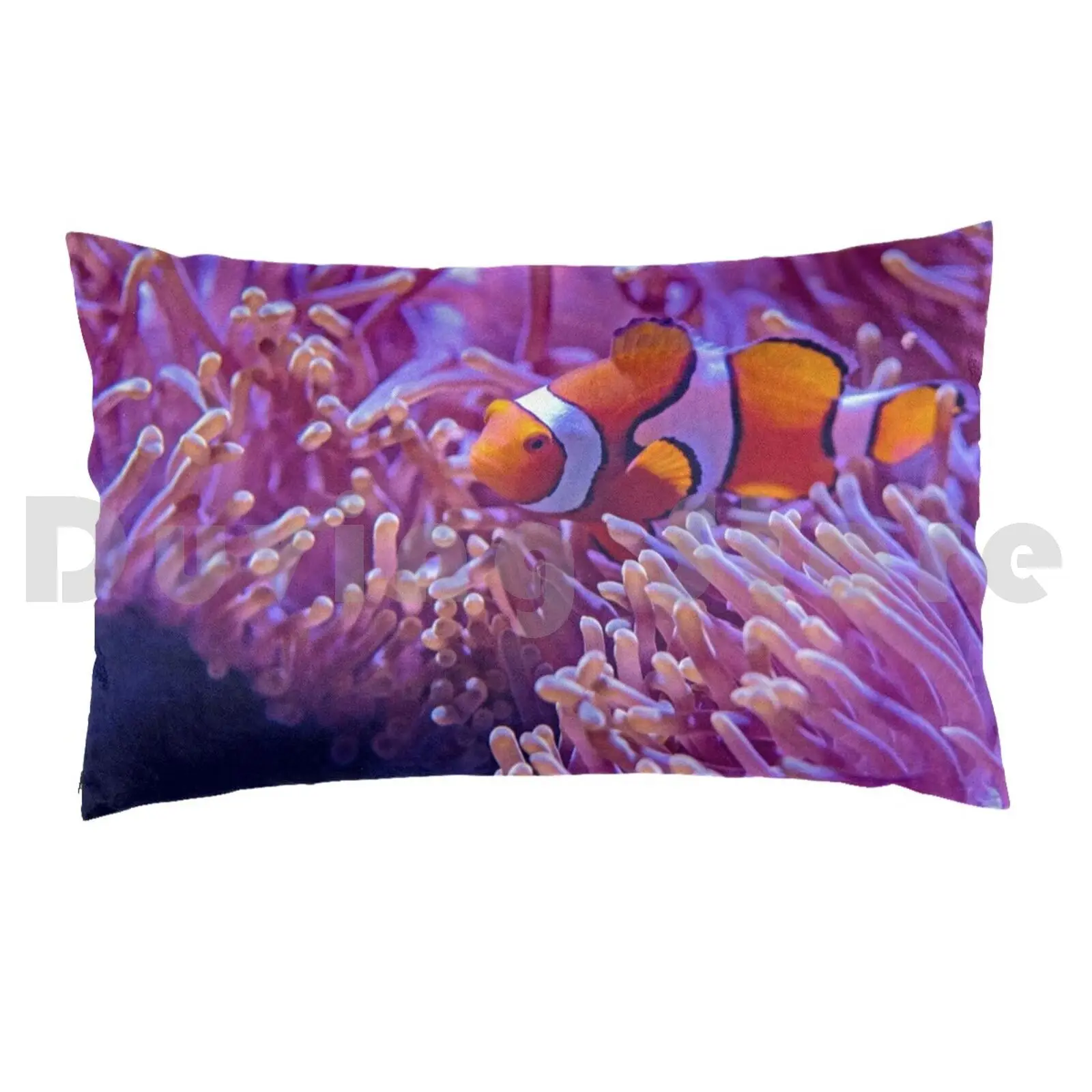 Clown Fish Pillow Case Printed 50x75 Reef Tank Clownfish Nano Reef