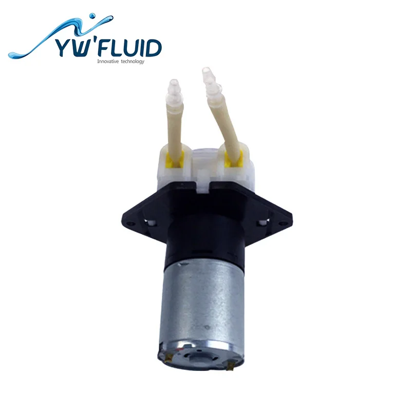 YWfluid – Mini pompe péristaltique, moteur GDC 12V/24V, YW01-GDC, utilisée pour le lavage à l'eau