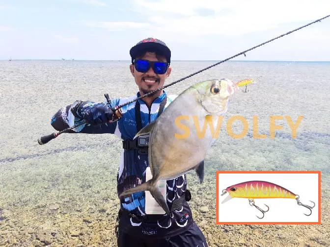 Tsurinoya 14-teiliges Bestseller-Set DW63 Sinkender Mini-Minnow-Köder 50mm 5g Angelköder mit Lebensechten 3D-Fischaugen – Detail 9