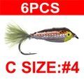 6PCS C