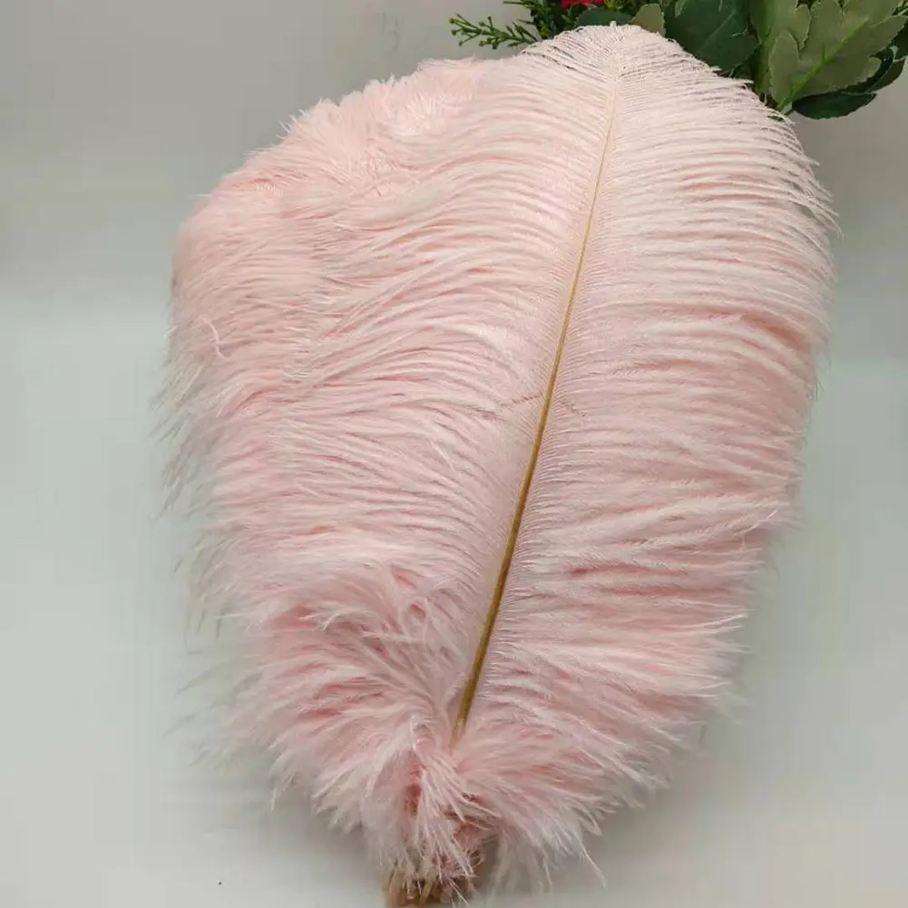 Großhandel 100 Teile/los Natürliche Weiß Straußen Federn Für Handwerk 15-35CM Karneval Kostüme Party Hause Hochzeit Dekorationen Plumes