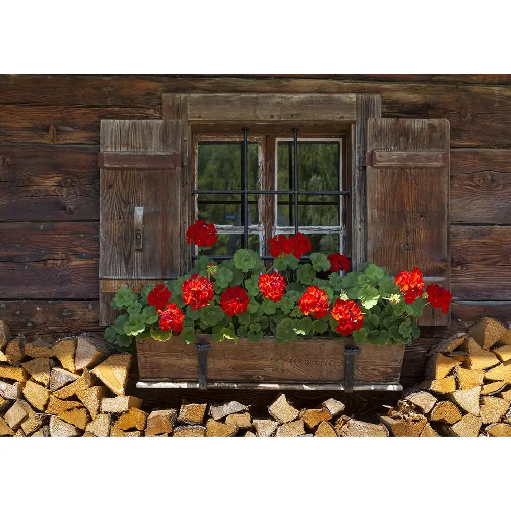 Wooden Wall Window Potted Flower Photography Background Vinyl Backdrop Photo Studio for Baby Children Portrait Toy Photophone