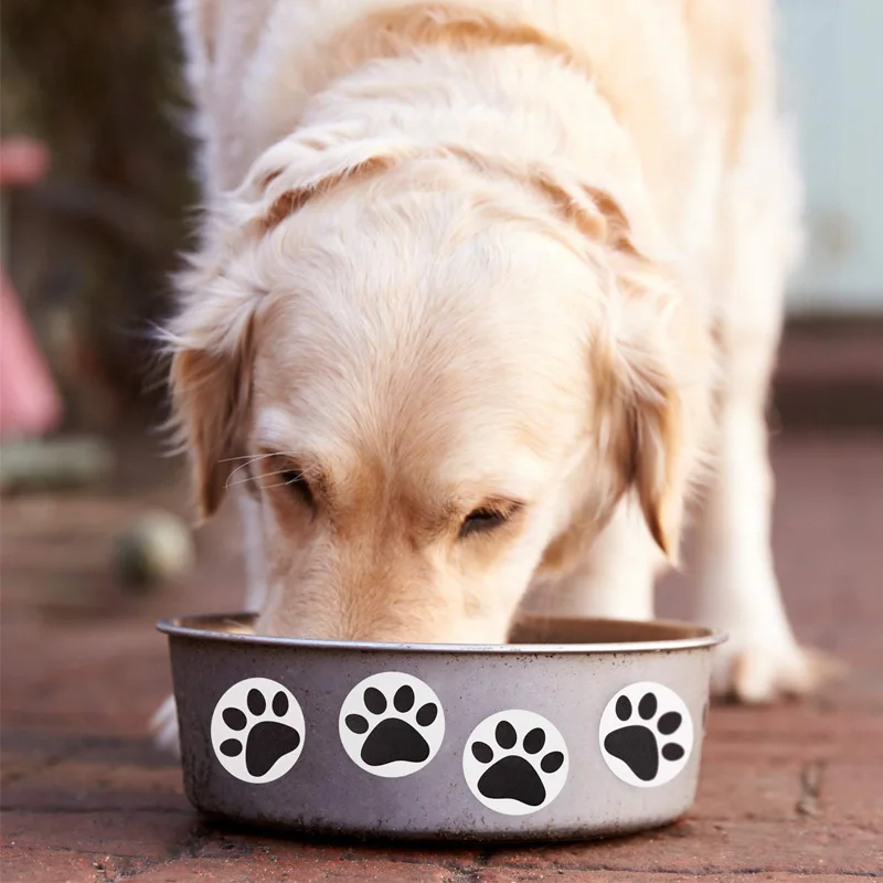 50-500 adet siyah pençe baskı çıkartmalar köpek kedi ayı pençe etiketleri çıkartmalar dizüstü ödül etiket kırtasiye öğretmen öğrenci için