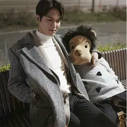 50-125cm High Quality Korea The Kings Lion Toy Lee Minomi lion Stuffed Doll  Plush Animal Birthday Gift for kids