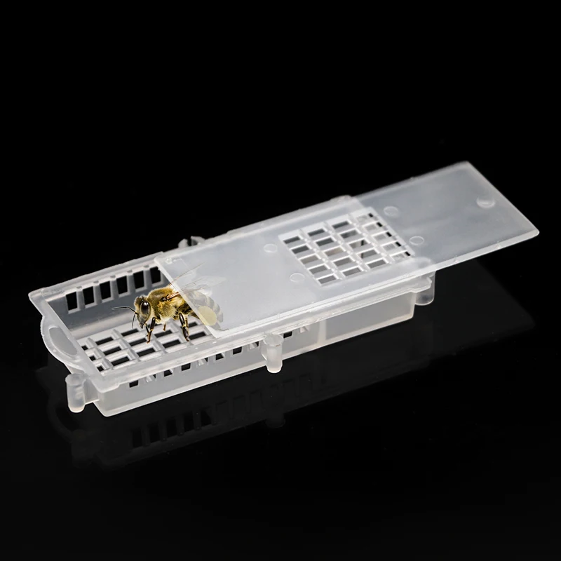 

20 Pcs Beekeeper Bee Transparent Queen Cages Insect Equipment Queen House Beehive Beekeeping Tools