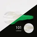 NW101