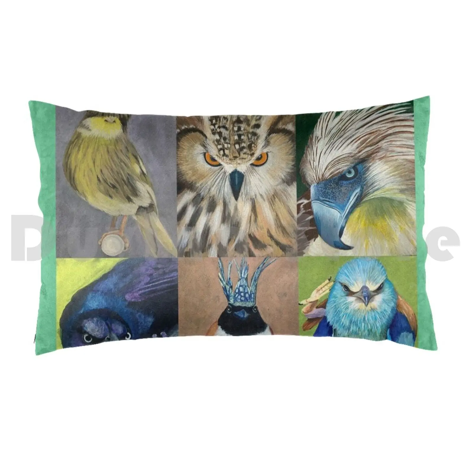 Cooped Up Birds , A Collection 9 Different Types Of Birds Pillow Case Printed 35x50 Pigeon Starling Crow