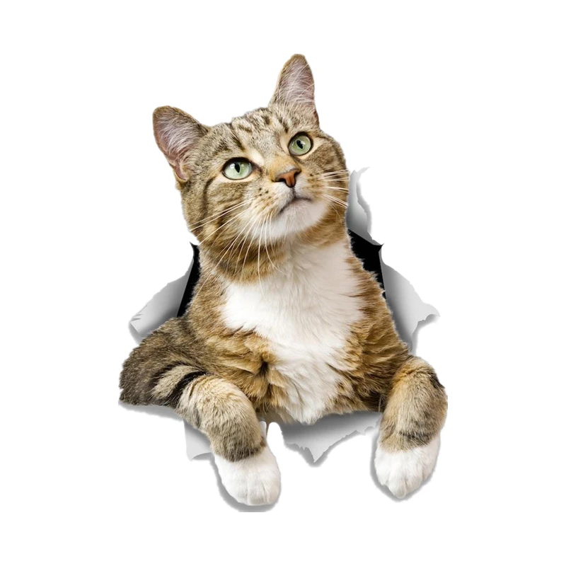 

S30970# Self-adhesive Decal PONDERING TABBY Car Sticker Motorcycle Laptop Waterproof Auto Decors on Bumper Rear Window Laptop