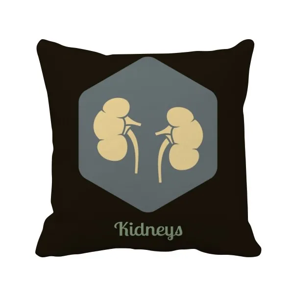 Body Internal Organs Kidney Throw Pillow Square Cover