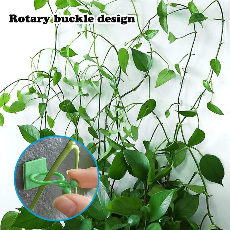 Plant Climbing Wall Fixture Clips Rattan Vine Fixer Self-Adhesive Hook Invisible Garden Binding Clip Wall StickyClip