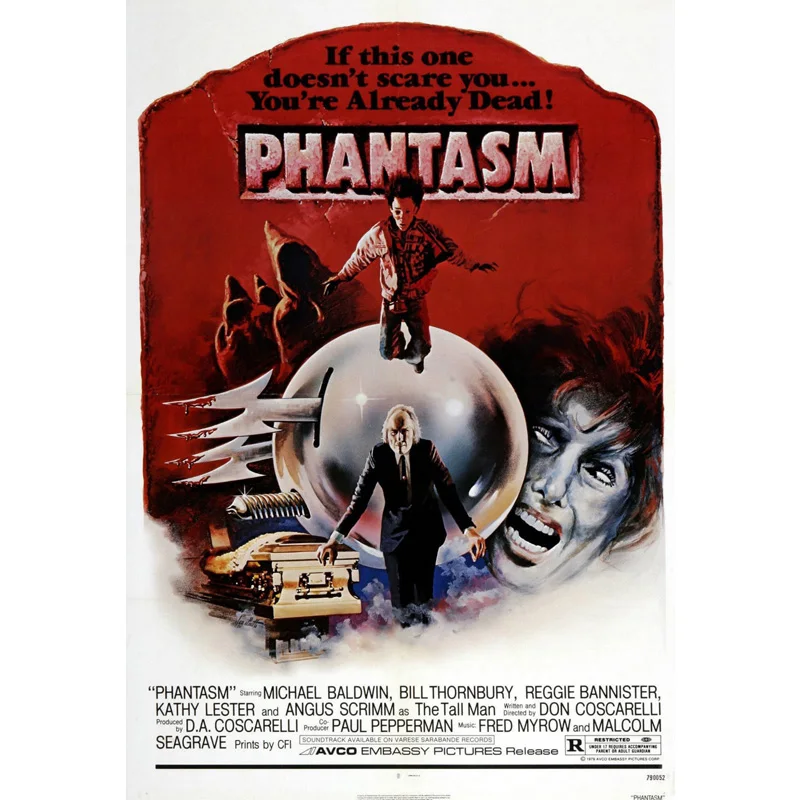 D0806 Phantasm Movie Silk Fabric Poster Art Decor Indoor Painting Gift