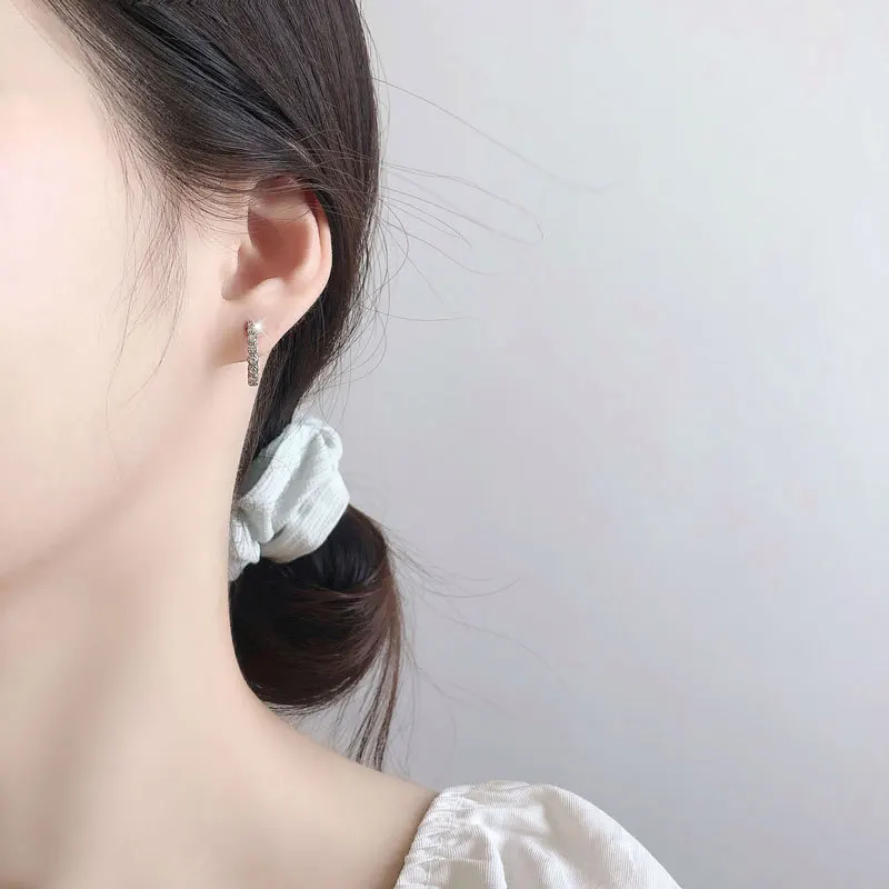 REETI 925 Sterling Silver Earrings Round zircon Hoop Earrings For Women Gift earings fashion jewelry