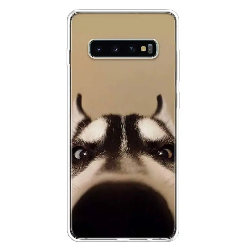 Cute dog Wacky Husky Phone Case For Samsung Galaxy S24 S22 S23 Ultra S20 FE S10 S21 Plus S10E S9 S8 + Coque Back Cover