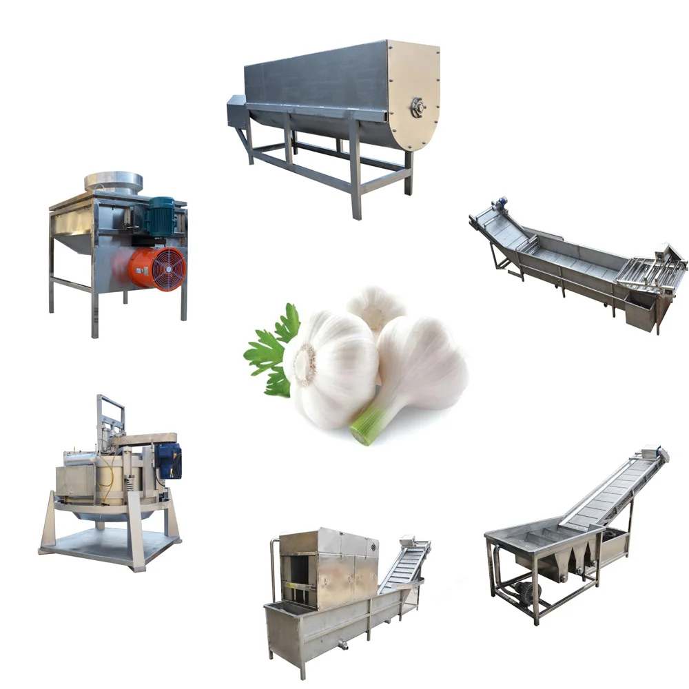 مزرعة الثوم آلة تقطيع الثوم تجهيز خط القدرة 3 T/H