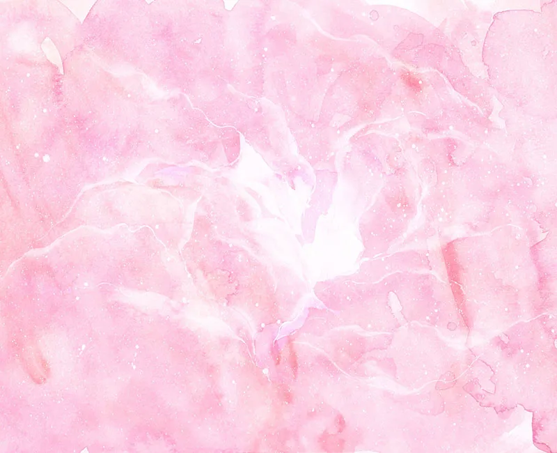 Pink petals baby photo backgrounds newborn photography backdrops for photo Studio Video maker accessories  Backgrounds NB-140