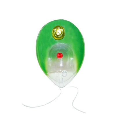 Chlamydomonas model junior high school biology experiment science and education equipment teaching demonstration medical researc