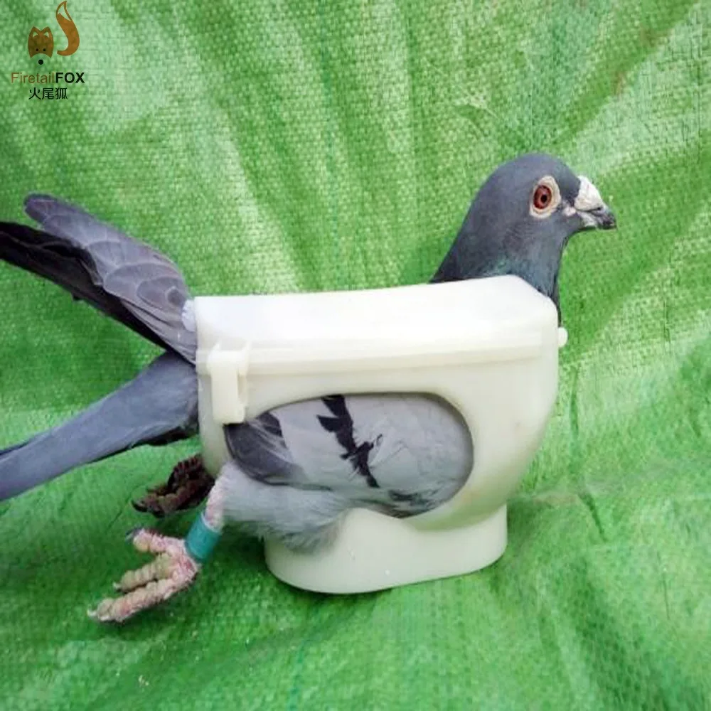 

Plastic Racing Pigeon Holder Easy Bird Fixed Frame Rack Medicine Feeder